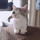 Twzeeyz profile picture