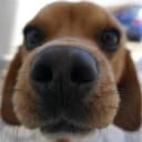 Uruguayo28 profile picture