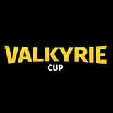 Valkyrie_Cup2's Kick streamer profile picture