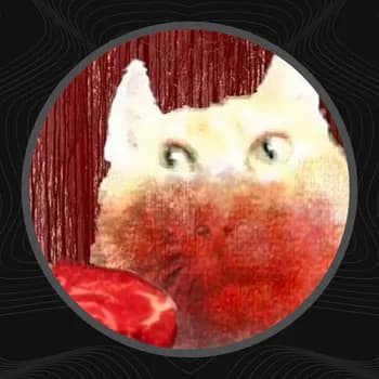 vampireliquor's Kick streamer profile picture