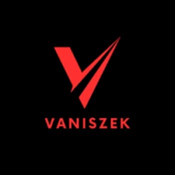 vaniszek1916's Kick streamer profile picture