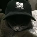 VECTORXYZ profile picture