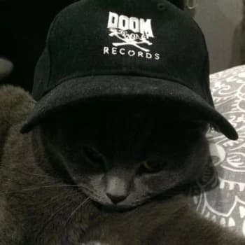 VECTORXYZ's Kick streamer profile picture