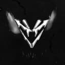 VENN95 profile picture