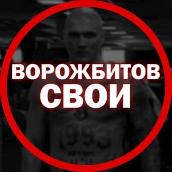 VOROGBITOV's Kick streamer profile picture