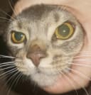 vozduh_og profile picture