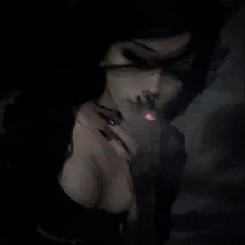 Wankos's Kick streamer profile picture