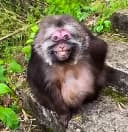 warpaplas profile picture