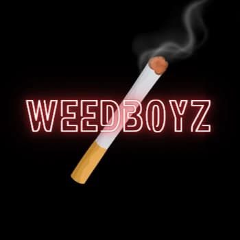 weedboyz's Kick streamer profile picture