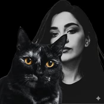 Wflowa's Kick streamer profile picture