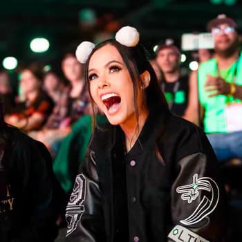 Wittlebears's Kick streamer profile picture