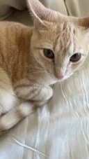 XfutLibre325 profile picture