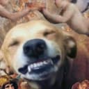 xRichi12 profile picture