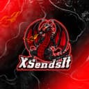 XSendsIt profile picture
