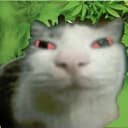 xxxerror666 profile picture