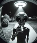 Youssefinho5 profile picture