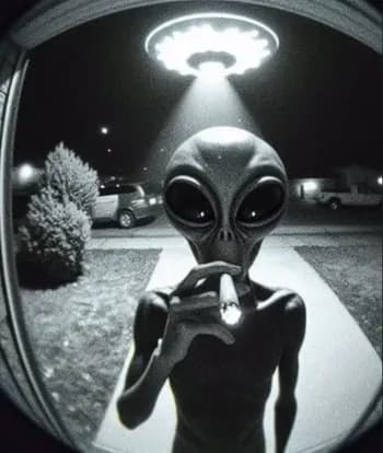 Youssefinho5's Kick streamer profile picture