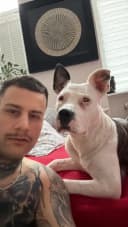 yungmacias profile picture