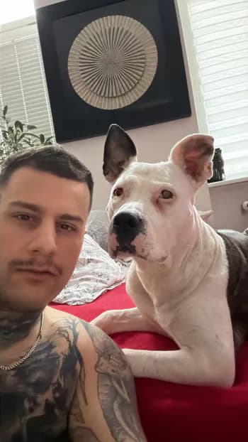 yungmacias's Kick streamer profile picture