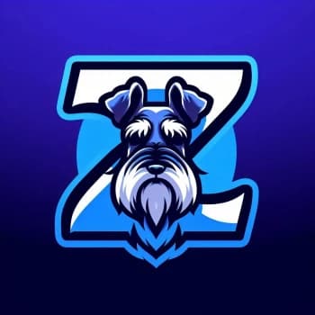 zephitv's Kick streamer profile picture