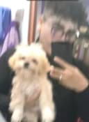 zeuxito25 profile picture