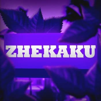 ZHEKAKU's Kick streamer profile picture
