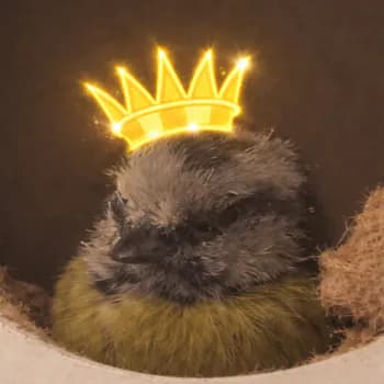 zSilverr's Kick streamer profile picture