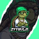 zyynvlr profile picture