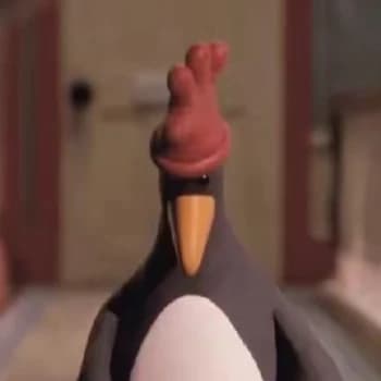 Zyztm's Kick streamer profile picture