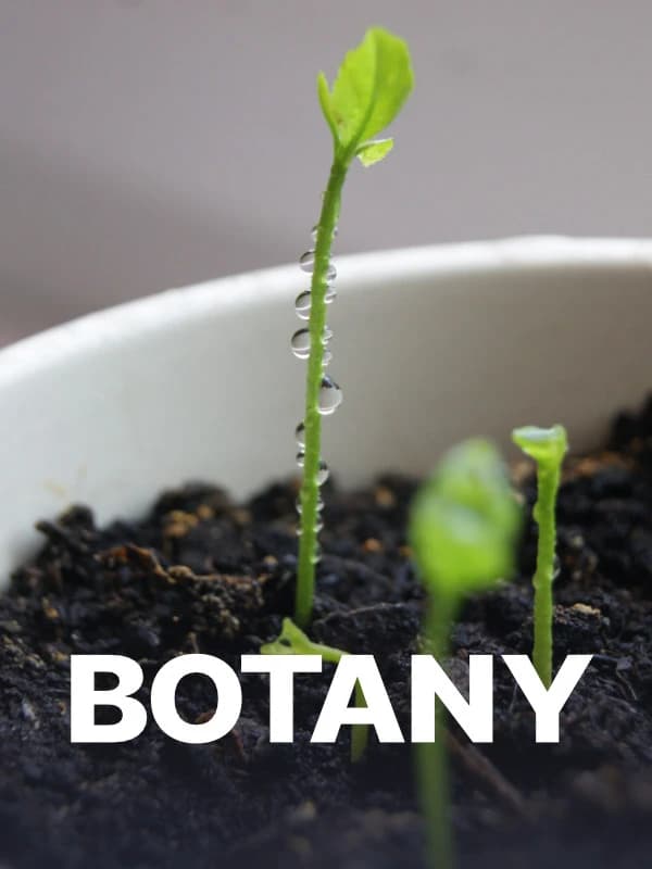 Botany
