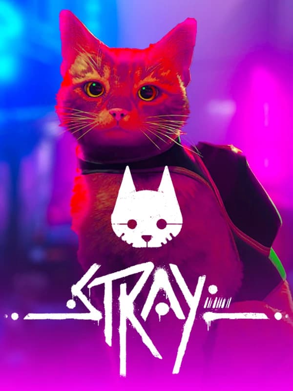 Stray 