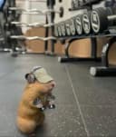 4adell profile picture