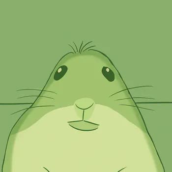 Ciscoo's Kick streamer profile picture