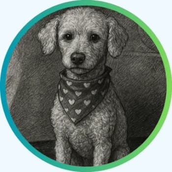 EzeeFlores3's Kick streamer profile picture