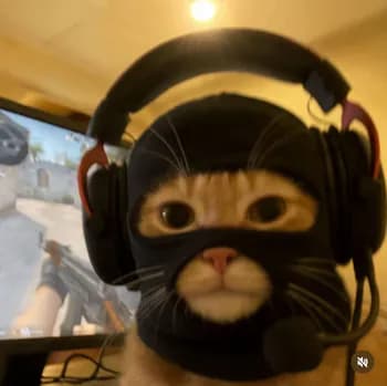 ForsakenAW's Kick streamer profile picture