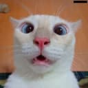 gerdziu7 profile picture