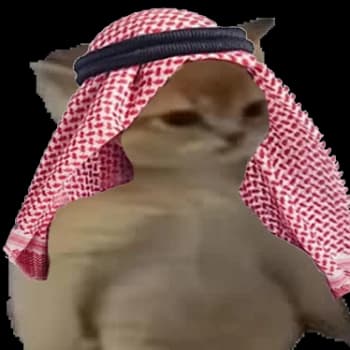 Guapcollector's Kick streamer profile picture