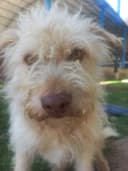 J_OsO profile picture