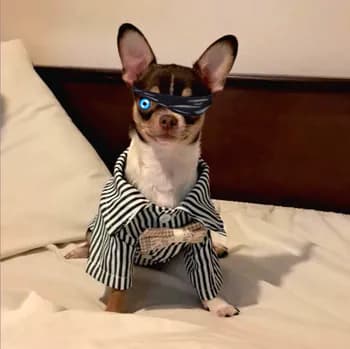 jaragleif's Kick streamer profile picture