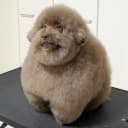 juke profile picture