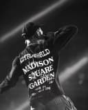 LeeeVog profile picture