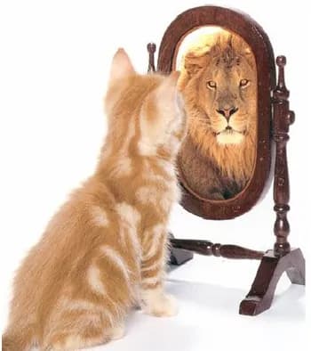 piranhaonaoteamaa's Kick streamer profile picture