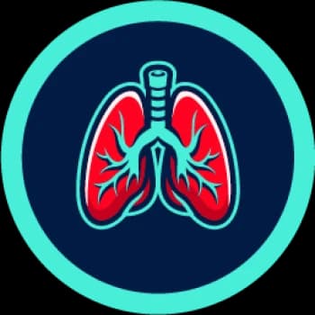 pulmonary's Kick streamer profile picture