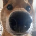 Rkku profile picture