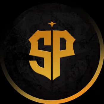 SalehP1's Kick streamer profile picture