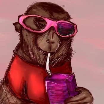 xgabop's Kick streamer profile picture