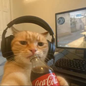 YUICORN's Kick streamer profile picture