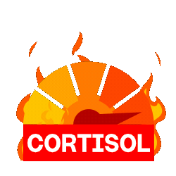 highCortisol highCortisol